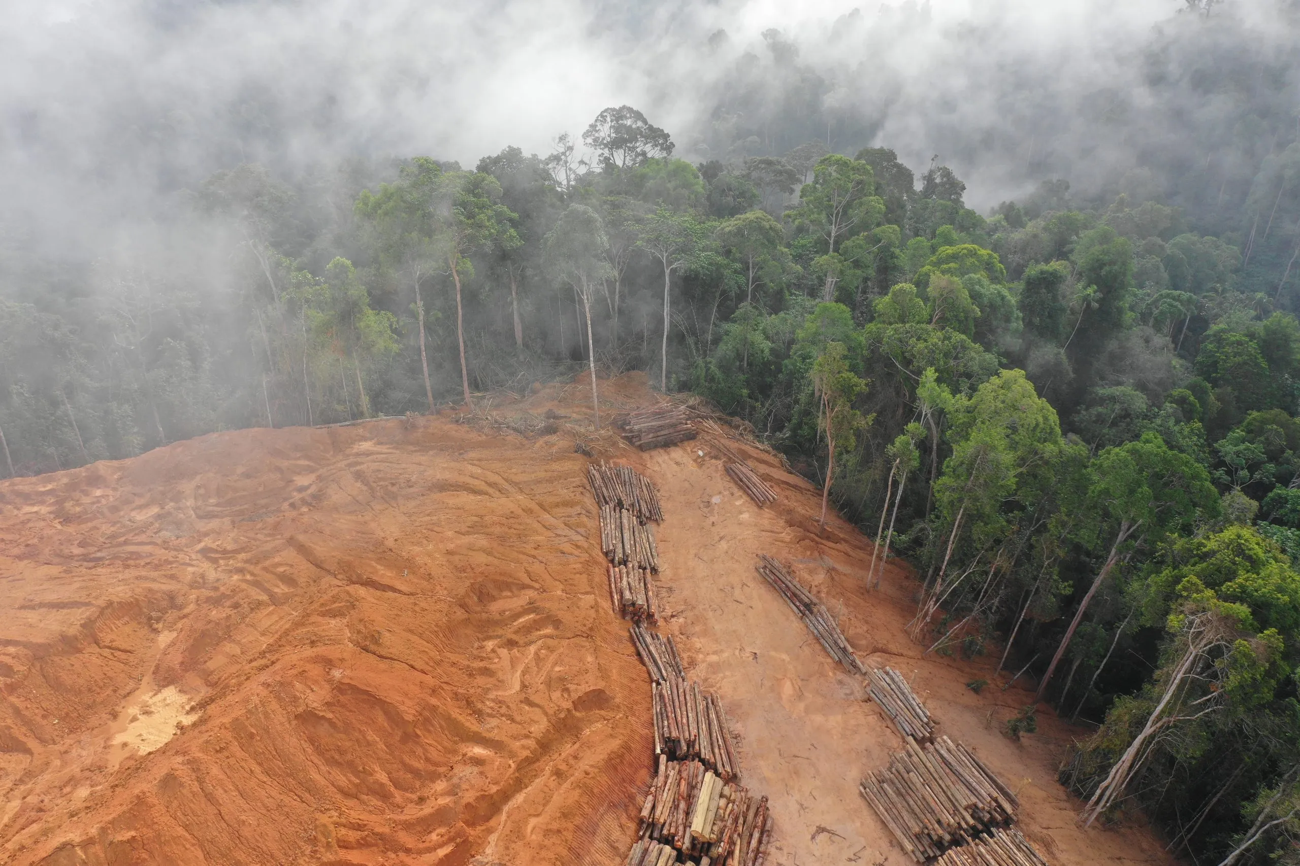 Backing indigenous people and local communities for is the most effective, scalable, and just way of keeping trees standing.