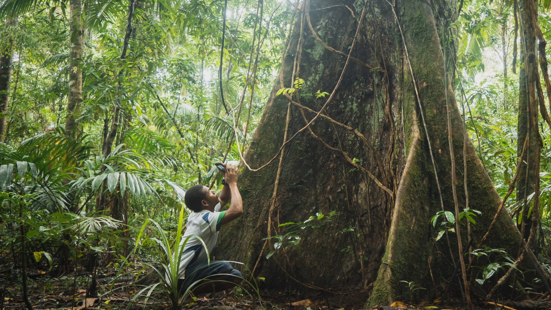 Nicky Roma collecting data in the forests of Wabumari, Papua New Guinea.