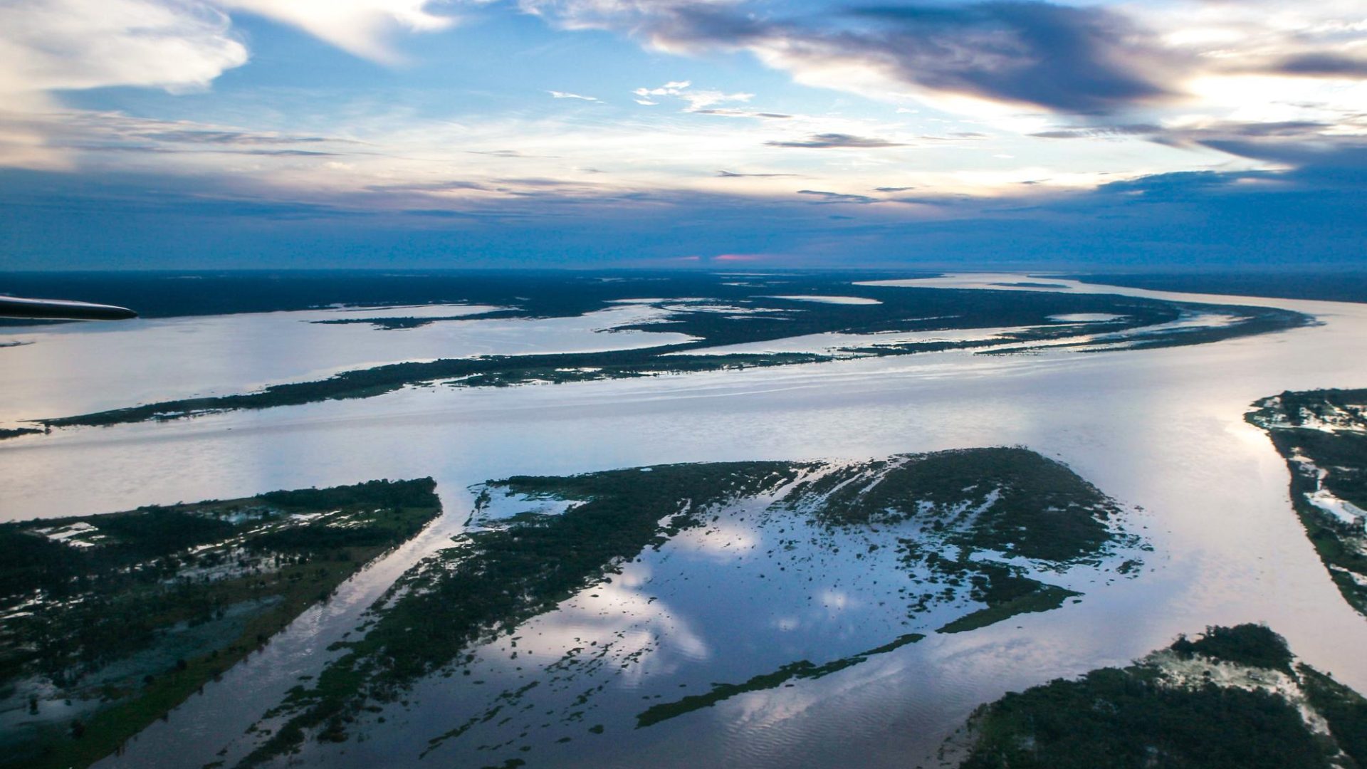 grande étendue du fleuve Amazone brésilien, les affluents se détachent du corps principal du fleuve et il y a des taches de végétation verte.