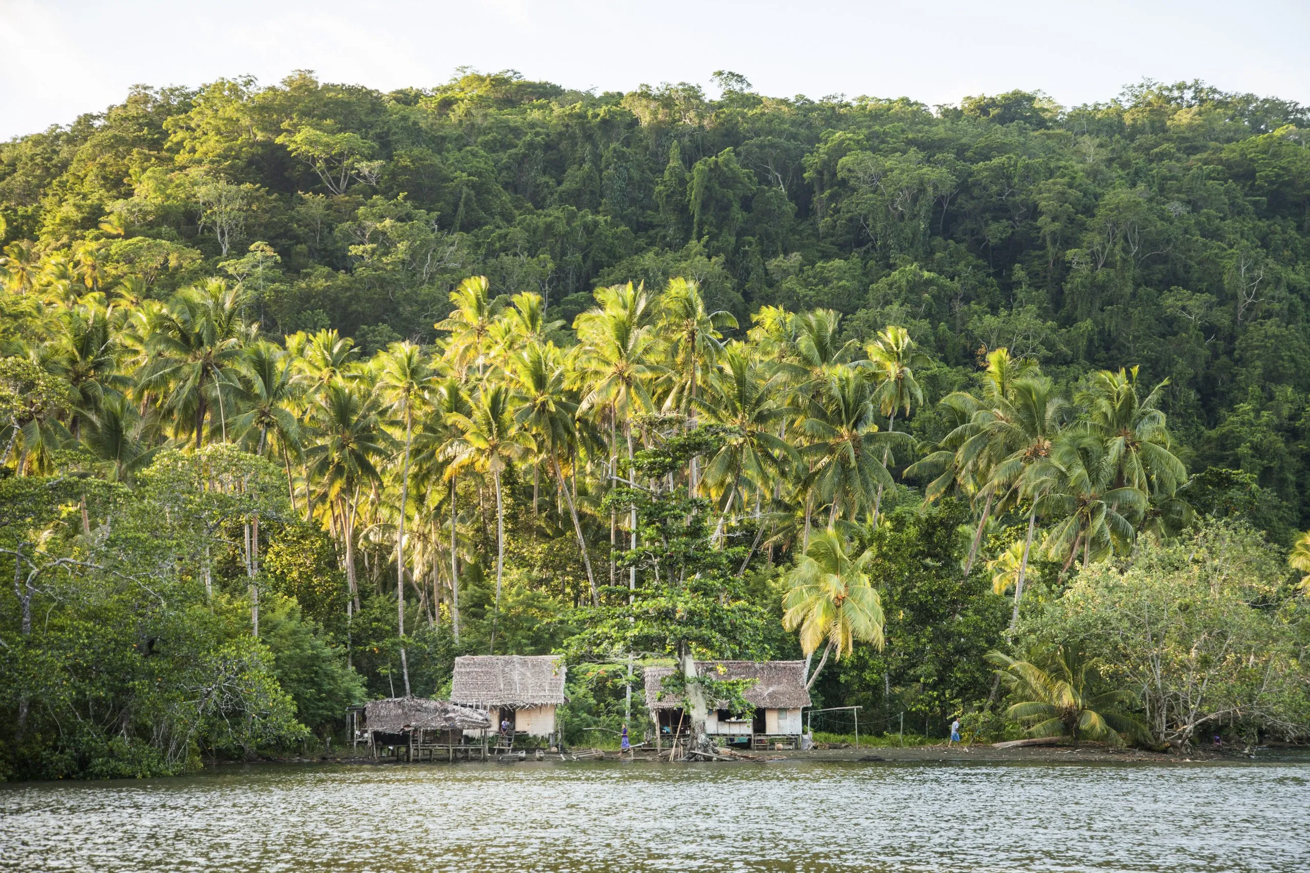 Wabumari lies between the forest and the ocean.