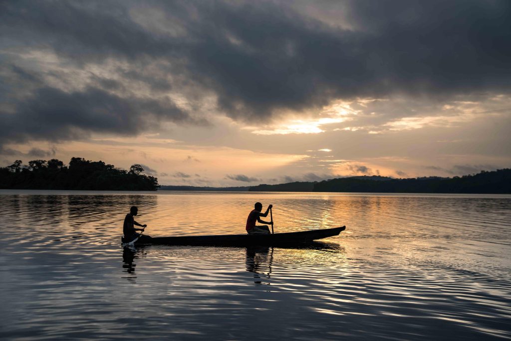 The Congo Basin is under threat - here's why we need to act now