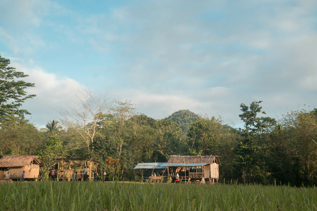 Houses in the village of Sololo, Papua New Guinea.