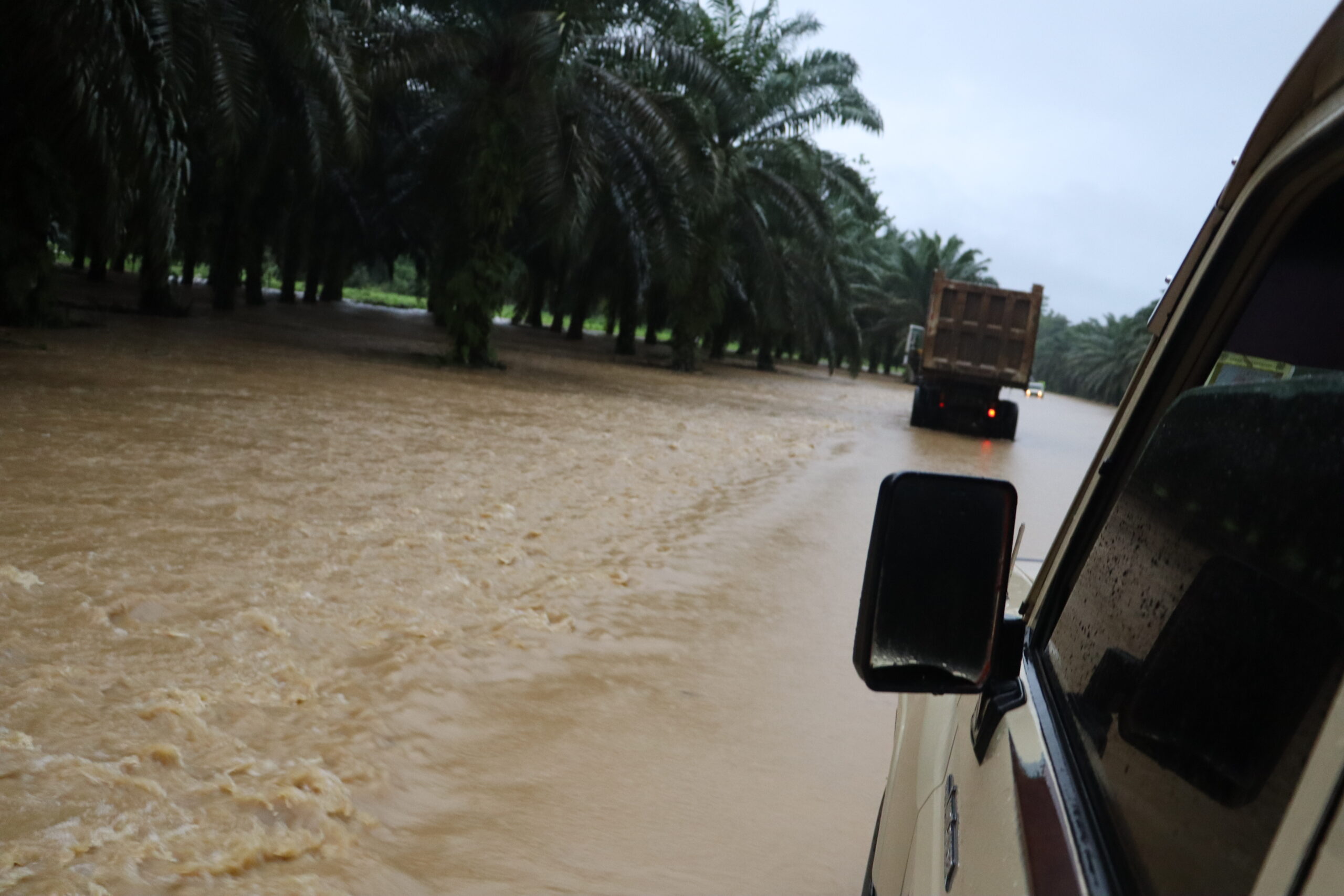 The roads towards the New Guinea forest flooded.