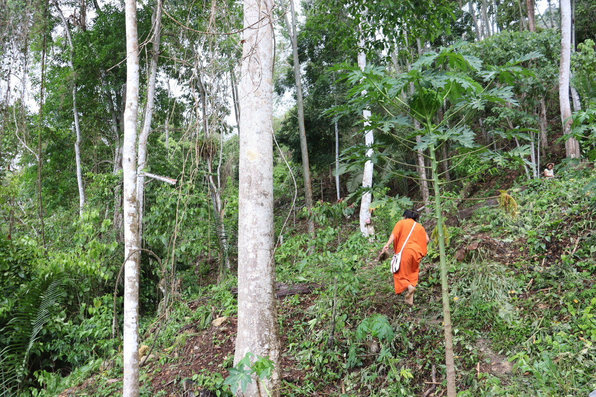 Ashaninka Indigenous leader in the rainforest.