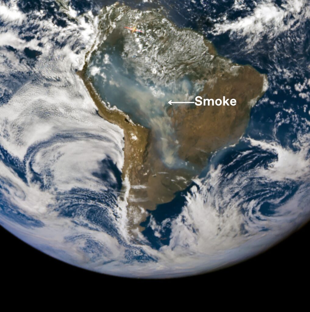 NASA satellite imagery has captured the smoke rising from the wildfires in the Amazon. Credit: NASA Earth Observatory.