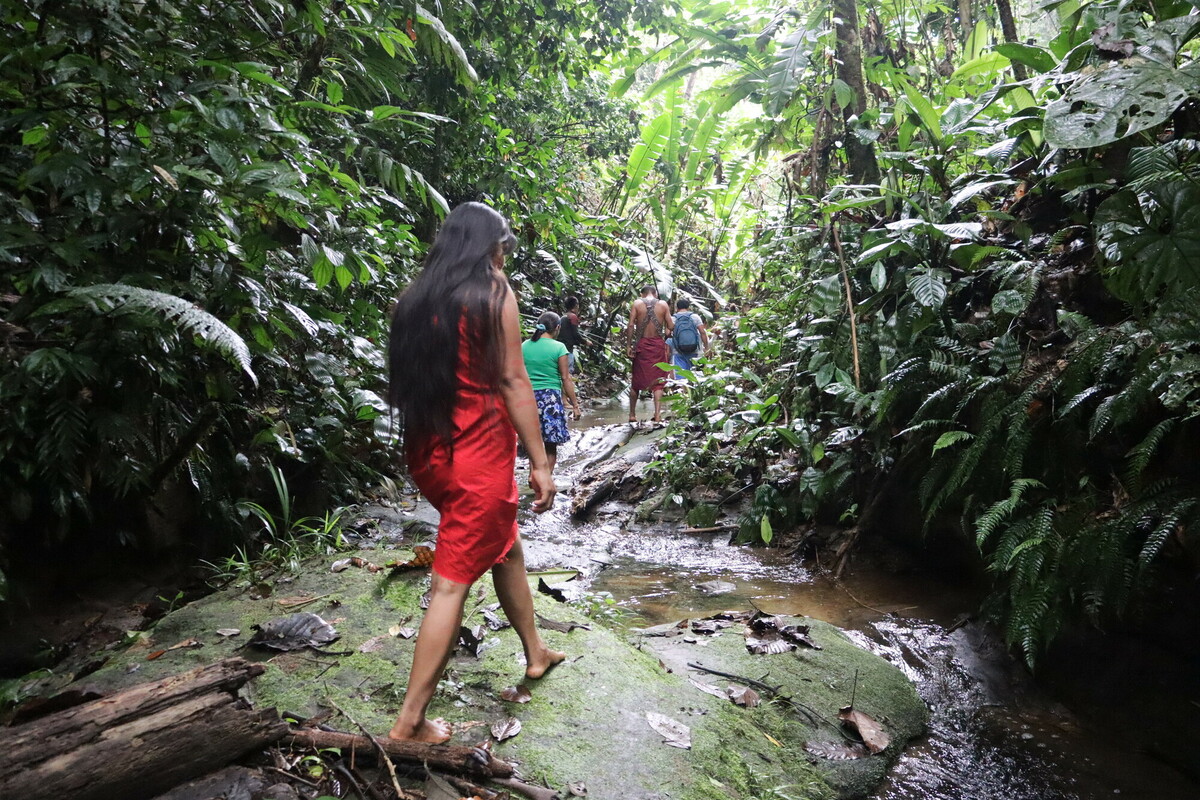 Women walking through the Amazon rainforest to collect fresh water.