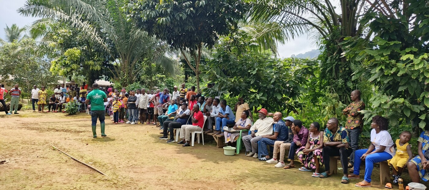 A rainforest protection session taking place in the Congo rainforest.