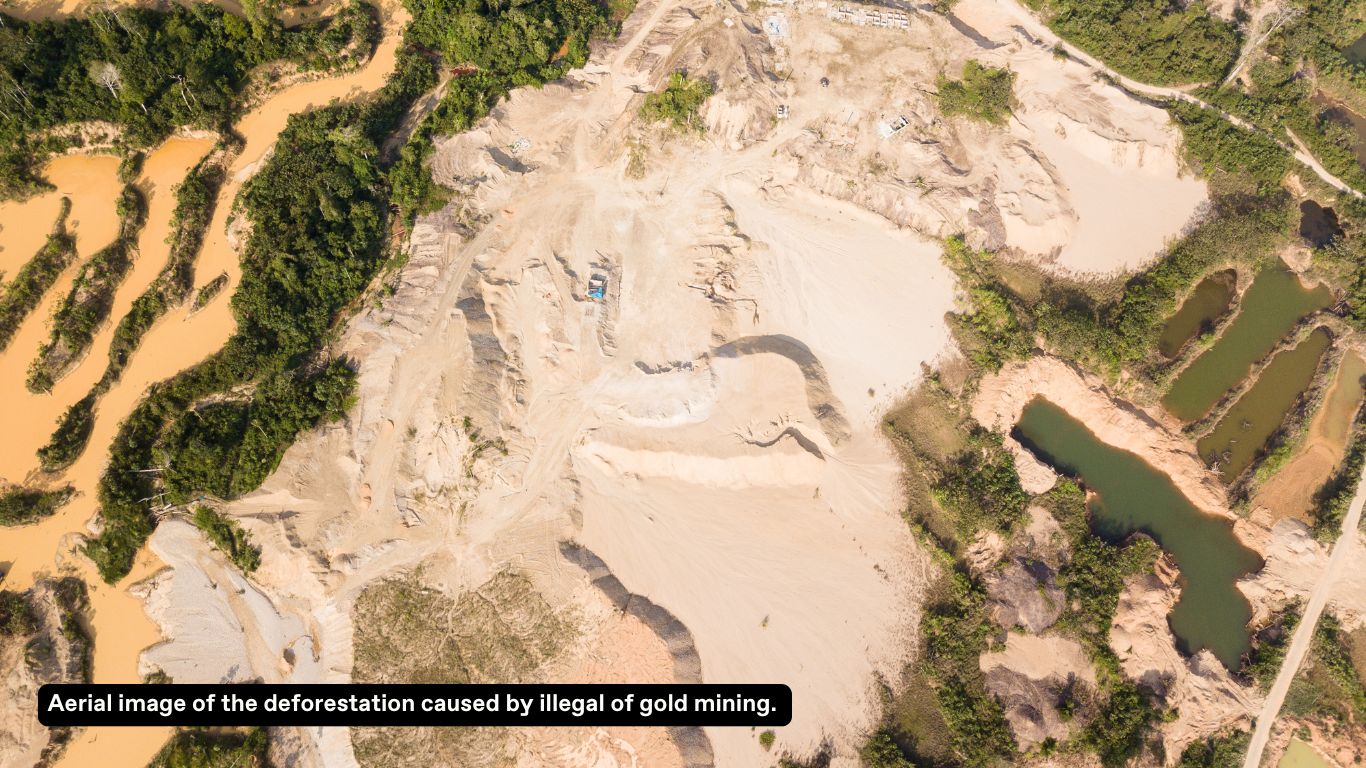 Aerial image of the deforestation caused by illegal of gold mining.