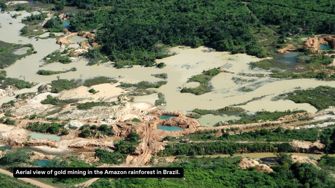 Aerial image of the deforestation caused by illegal of gold mining.