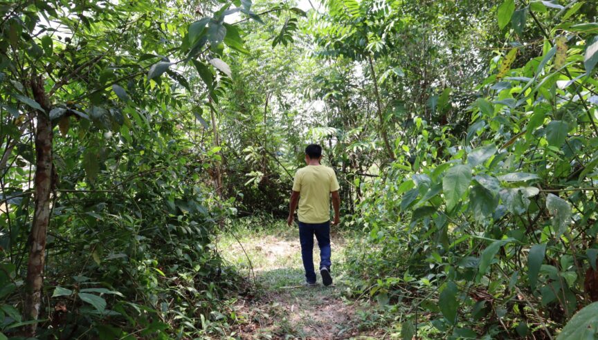 Transferencias en efectivo