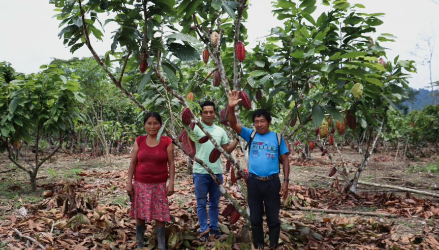 Revisión de la entrega de efectivo en Perú