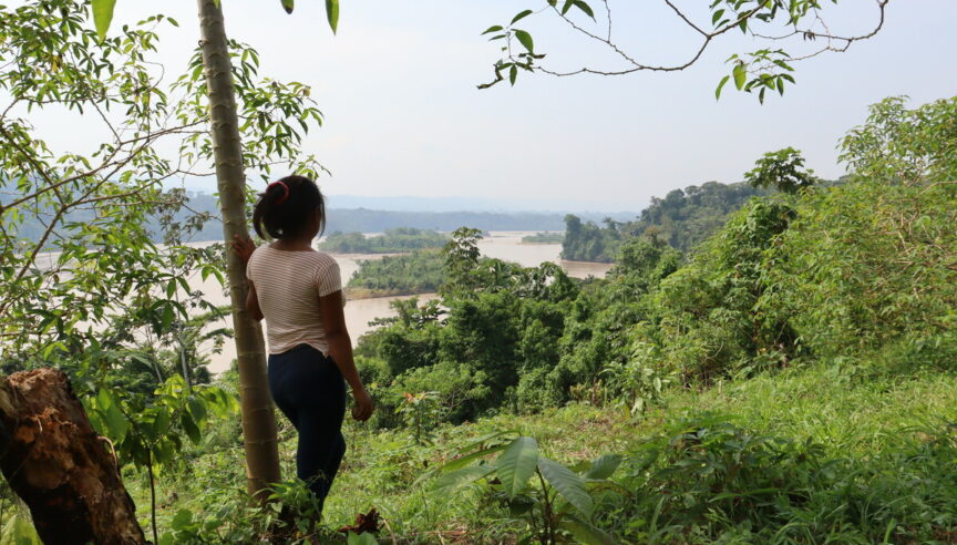 ¿Puede la renta básica salvar las selvas tropicales?