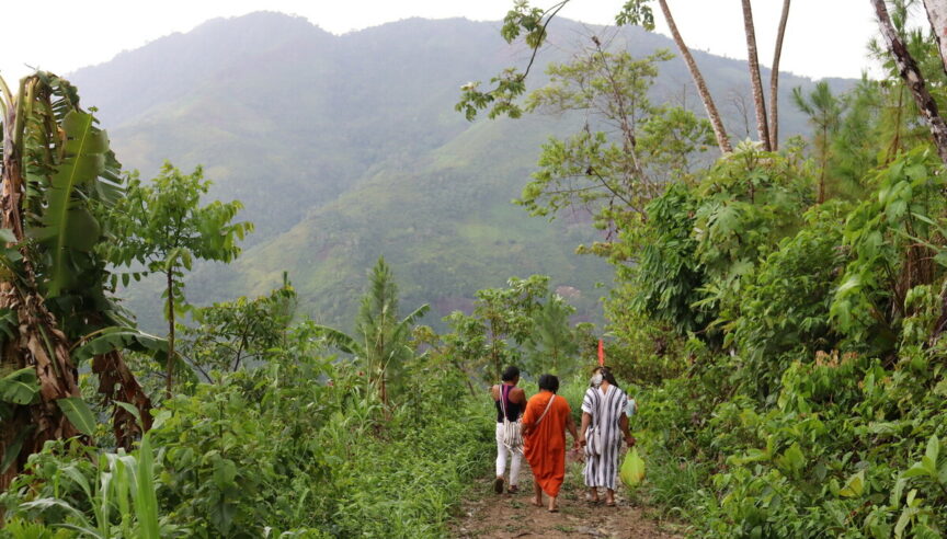 ¿Dinero para la conservación? 