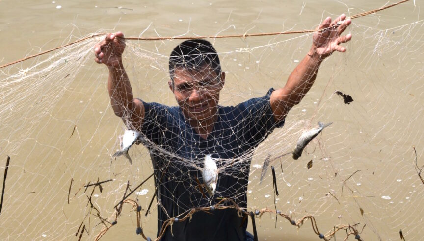 Seguridad alimentaria