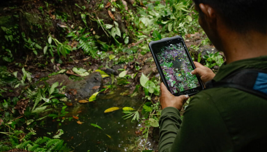 Conservación indígena