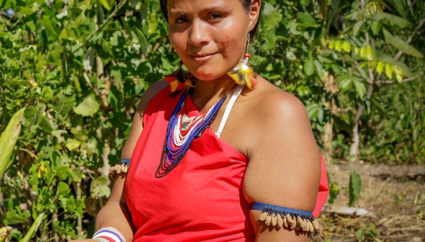 Las raíces de cúrcuma se utilizan para teñir las semillas de "kumpia" de color mostaza.