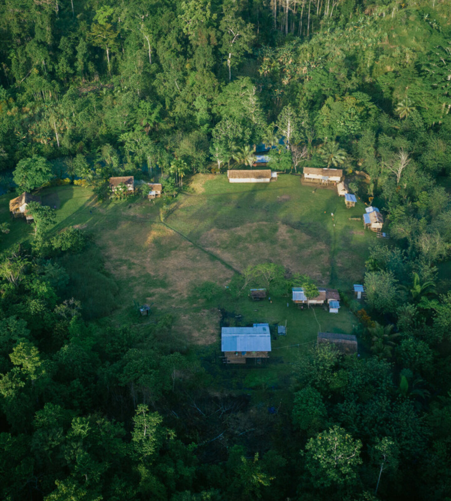 Your support = ethical rainforest protection