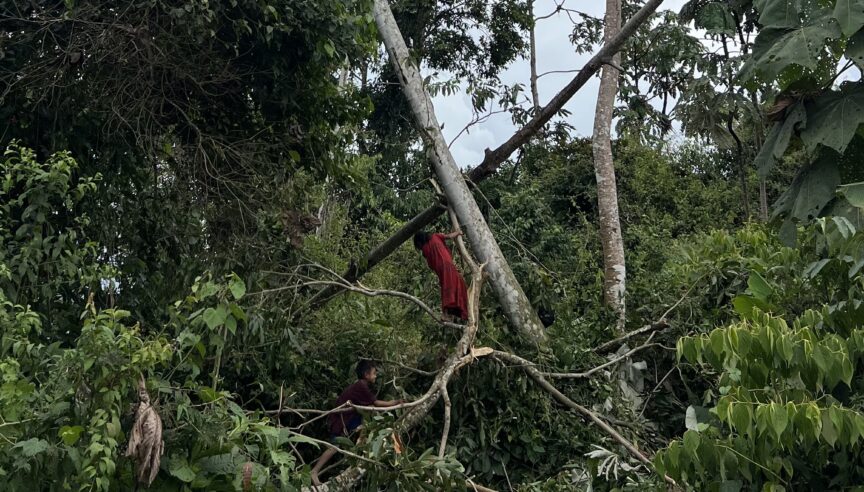 NGO Restrictions in Peru Endanger the Amazon and Its People