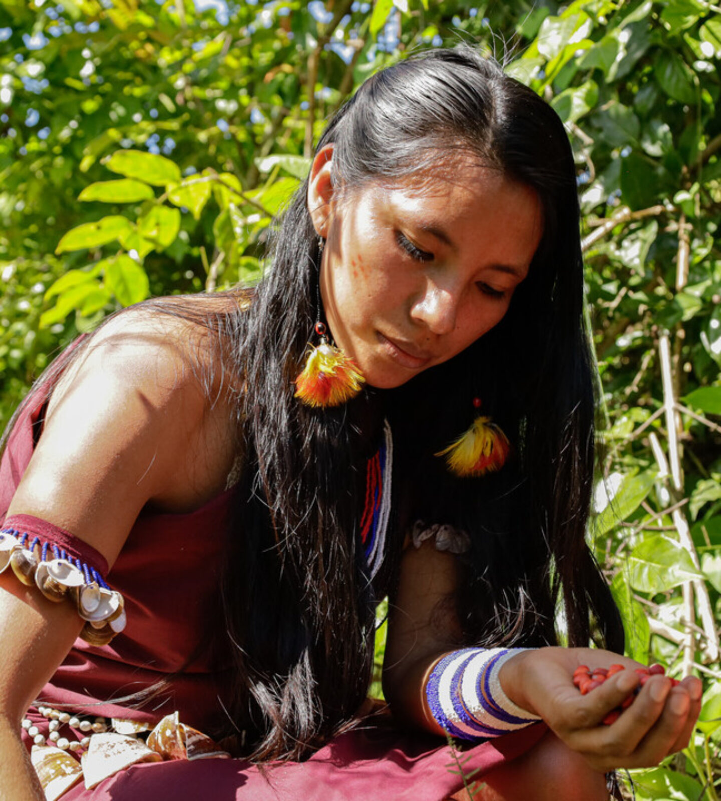 Votre soutien contribue à la protection éthique des forêts tropicales.